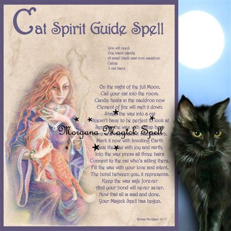 Cat Spirit Guide Make A Cat Spirit Guide Printable Page Etsy Cat
