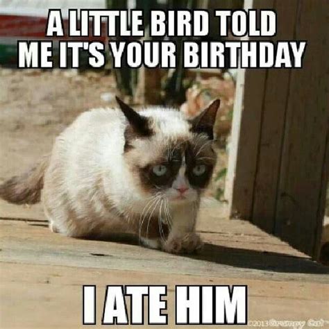 Happy Birthday Grumpy Cat Birthday Grumpy Cat Humor Grumpy Cat Meme