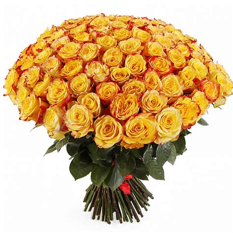 Huge Bouquet Of Roses Yellow Flowers Buy In Vancouver Fresh Flowers