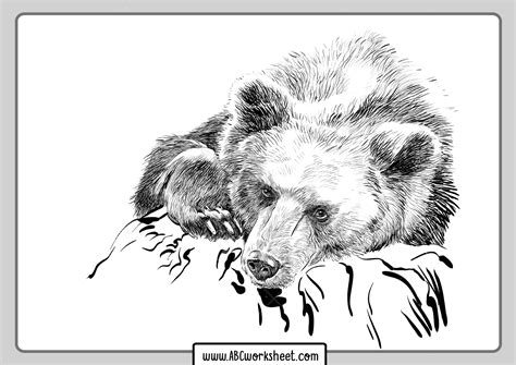 Grizzly Bear Coloring Pages Abc Worksheet