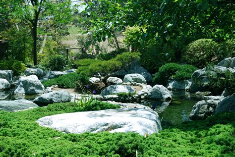 Japanese Zen Garden Zen Bridge Pond Path