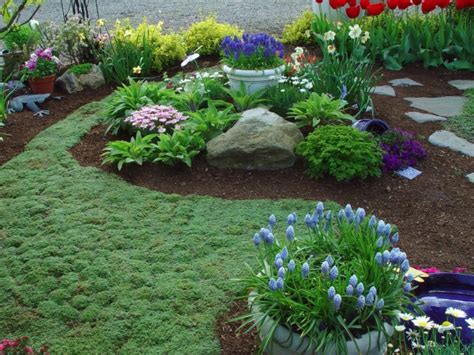 Tough, easy to grow plants. Seminars scheduled at Sullivan's | Hoosier Gardener