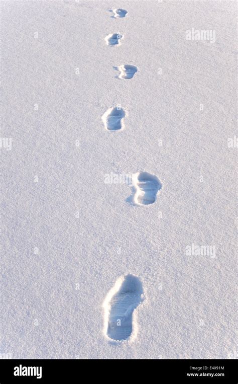 Footprints In The Snow Stock Photo Alamy
