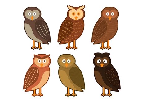 Barn Owl Character Vector Download Free Vector Art