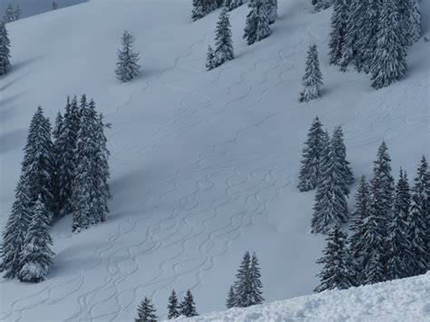 Fotos Gratis Paisaje Frío Cordillera Clima Nevado Esquiar Abeto