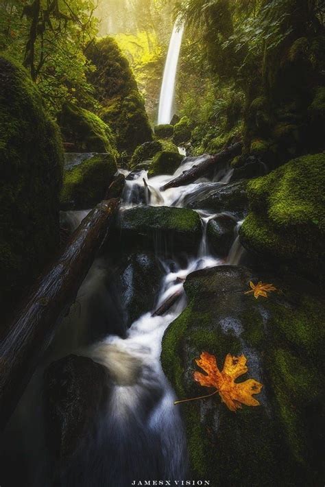 Elowah Falls Oregon By James Xiang On 500px Cool Landscapes