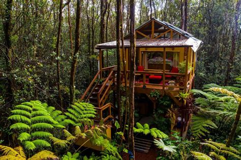 8 Treehouse Rentals In Hawaii Thatll Elevate Your Tropical Getaway