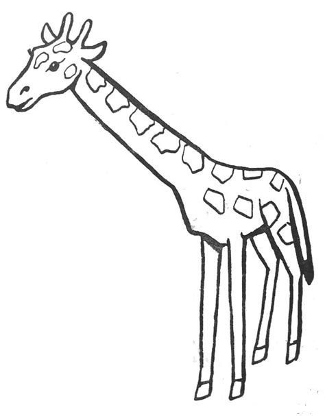 Simple Girafe Dessin Facile Comment Dessiner Une Girafe Youtube