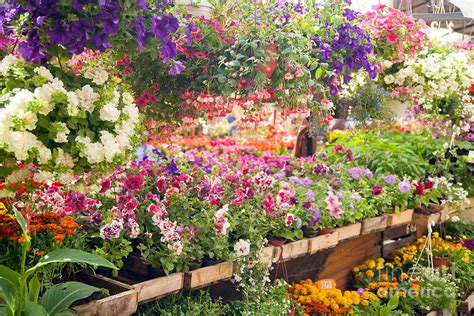 Don't see your favorite business? Flower Shops in Billings MT | Outstanding Floral Designs