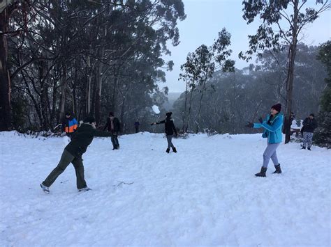 Mt Buller Snow Day Tour Hit The Road Tours Reservations