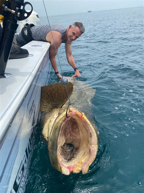 Massive Grouper Reeled In Off Florida ‘we Caught A Monster