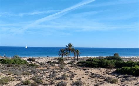 Las 10 Mejores Playas De Alicante Para Visitar Este Verano Alicanteout