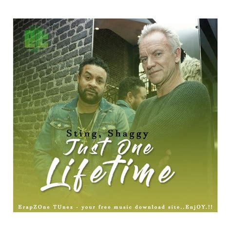 Reggaefr Sting And Shaggy Just One Lifetime Le Clip