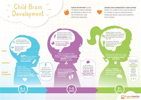 Infographic Child Brain Development