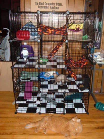 diy ferret cage wow what an awesome idea i need to do this it will save so much space