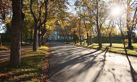 Hvert semester gjennomfører våre aktive tillitsvalgte mer enn 20 kurs og arrangementer. NTNU Trondheim - NTNU