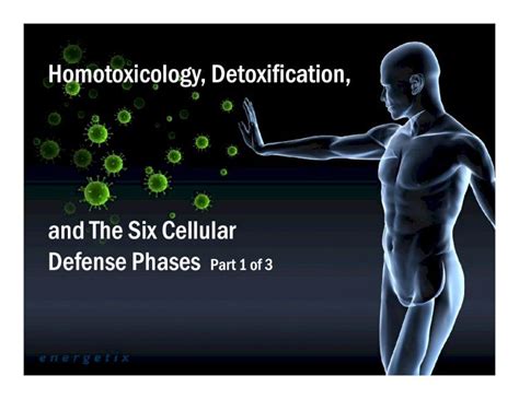 Pdf Homotoxicology Part I Detoxification And The 6 Cellular Defense
