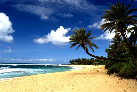 Hawaii Beaches Wallpaper Wallpapersafari