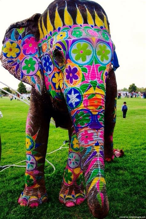 Painted Elephant Festival In India Elephant Elephant Love Colorful