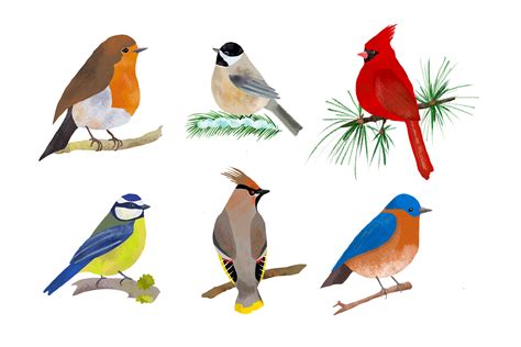 Birds Illustration Clip Art Png By Taningreen Thehungryjpeg