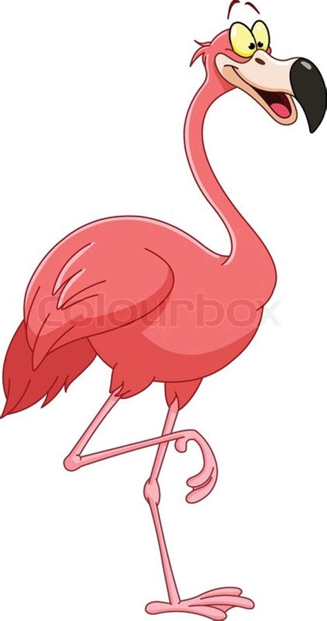 Cartoon Flamingo Stock Vector Colourbox