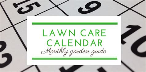 Lawn Care Calendar Monthly Garden Advice