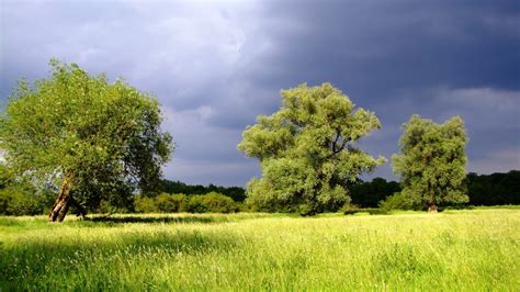 Summer Storm Wallpaper For Desktop Wallpapersafari