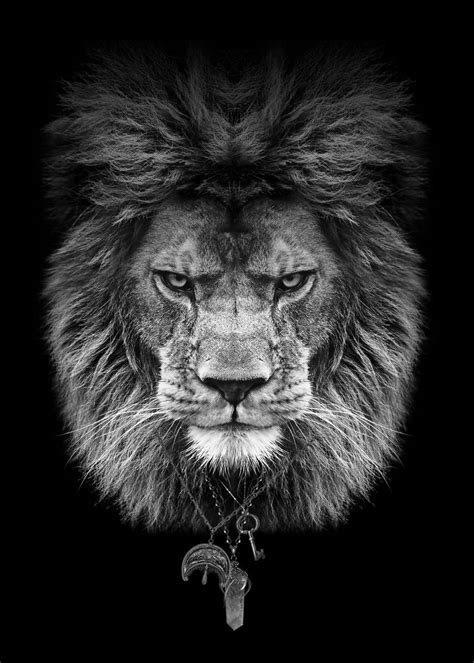 Lion Head Black And White Poster Picture Metal Print Paint By Mk