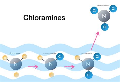 The Use Of Chlorine And Chloramine As Disinfectants In Water Treatment