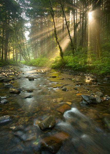 Radiance Rock Creek Wilderness Oregon A Morning Sun Burst Through