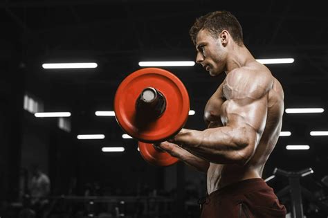 Barbell Biceps Curl 7 Common Mistakes Fitguideblog