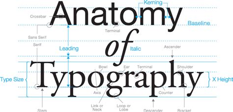 Web Design Typography 5 Things You Need To Know Solidwp