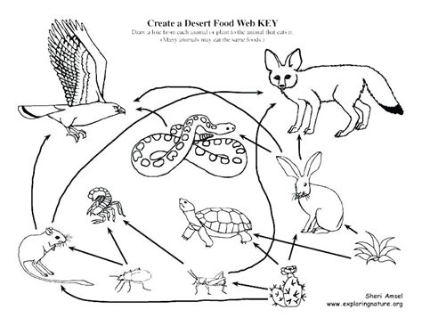 You can use these photo for backgrounds on gadget with hd. Desert Habitat Coloring Pages at GetColorings.com | Free ...