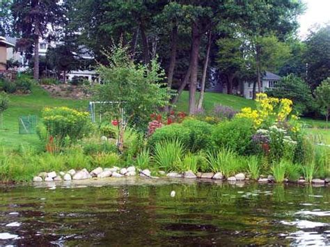 Lake Landscaping Landscaping With Rocks Landscaping Plants