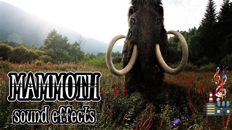 Have You Heard The Woolly Mammoth Growl Woolly Mammoth Sound Effects