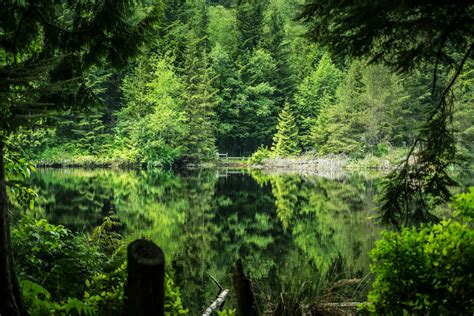 Lost Lake British Columbia Duncan Vogel Photography Oc 3568x2379