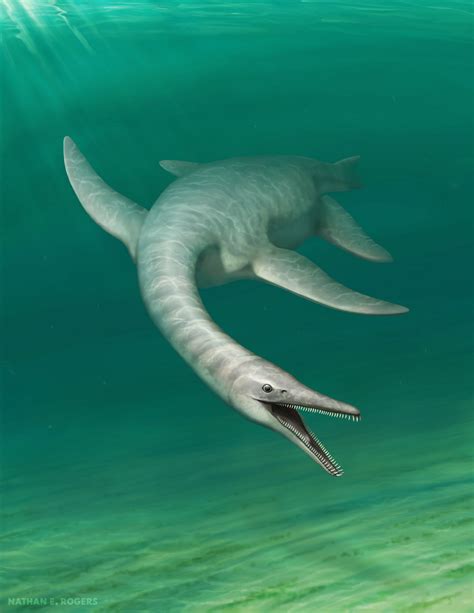 Serpentisuchops Paleontology Wiki Fandom