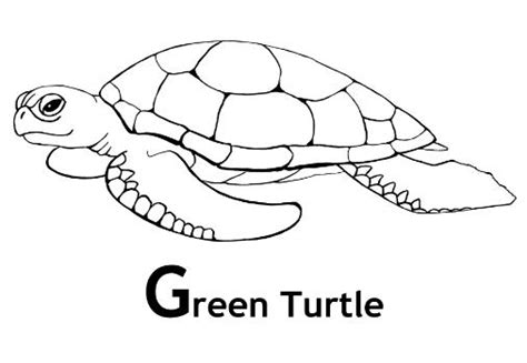 Green coloring, Download Green coloring for free 2019