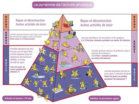 Recommandations Pour La Pratique Dactivités Physiques SantÉnergym