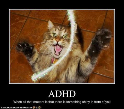 Your daily dose of fun! ADHD When all that matters is that there is something ...