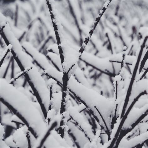 Inspiration Through Photography First Snowfall Of The Season