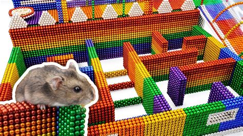 Diy Build Amazing Maze Labyrinth For Hamster Pet With Magnetic Balls