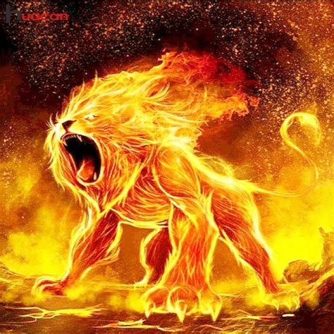 Fire Lion Wallpaper 76202 Baltana