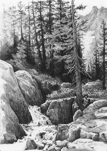 Graphite Pencil Drawings By Diane Wright
