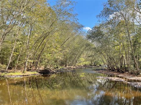 Saline River Crossing Removal Benefits Fish Wildlife And