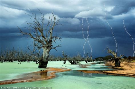National Geographic Announces Winner Of 2013 Photo Contest Daily Mail