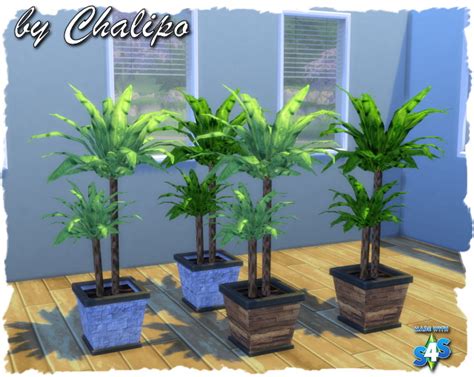 Sims 4 Leaning Palm Tree The Sims Resource Palm Tree House By Evi