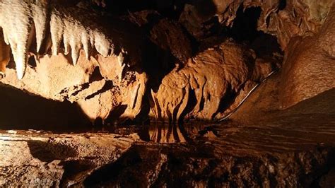Kents Cavern Torquay 2021 All You Need To Know Before You Go With