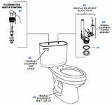 Toilet Repair And Parts
