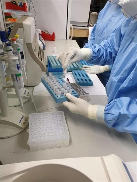 Maybe you would like to learn more about one of these? ย้ำ วิธี PCR หา 'เชื้อโควิด-19' ยังแม่นยำสุด ระบุต้องทำที่ ...